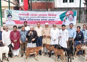 কুমিল্লায় বেগম জিয়ার সুস্থতা কামনায় হাজী ইয়াছিনের উদ্যোগে এতিমখানায় পশু সদকা ও দোয়া