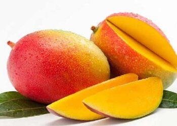 জেনে নিন আম খাওয়ার সঠিক নিয়ম—